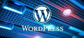 Hébergement WordPress en France : comment ça marche ?